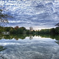 Mirror Of Pond