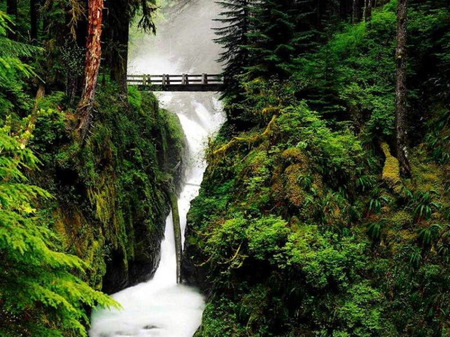 Bridge Across Water Stream - river, trees, water, stream, mountain, bridge