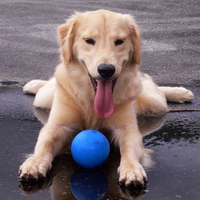 Juno and ball