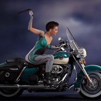 Harley Whipping