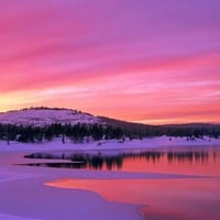 Sunset Purple Winter