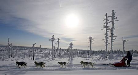 Orlicke Mountains - winter, nature