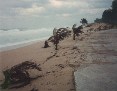 Australia - nature, beaches, australia