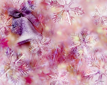 Pink Christmas / Pink Weihnachten