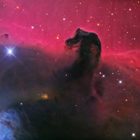 The Horsehead Nebula in Orion  