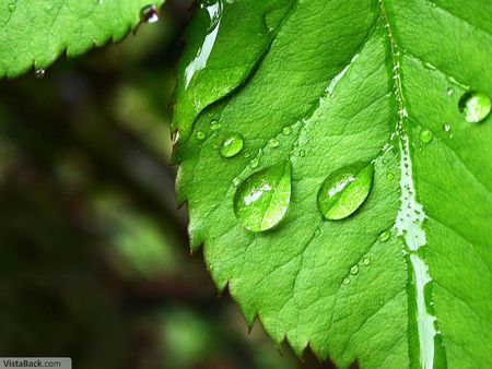  Water Drop - drops