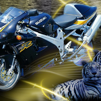 SuzukiTL1000-R Tigers