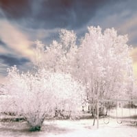 winter playground in the clouds / Winter Spielplatz in den Wolken