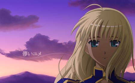 Fate Stay Night - anime, fate stay night