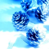 Snowy pinecones