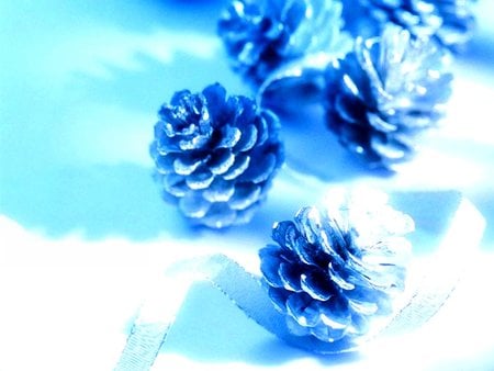 Snowy pinecones - snow - winter - nature