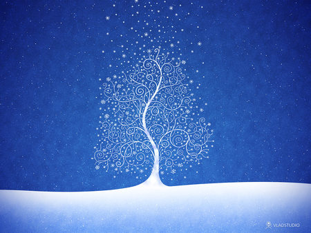 Where Snowflakes Are Born - christmas tree blue snow