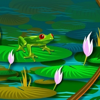 Lily Frog