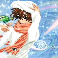 Gundam Seed