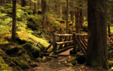 Obscured Path - abstract, trail, photography, 3d and cg, bridge, path