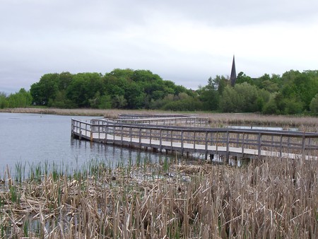 The silence of a pond - scenery, pond, walkway