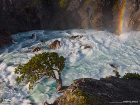 river rainbow - river, fast water, rainbow