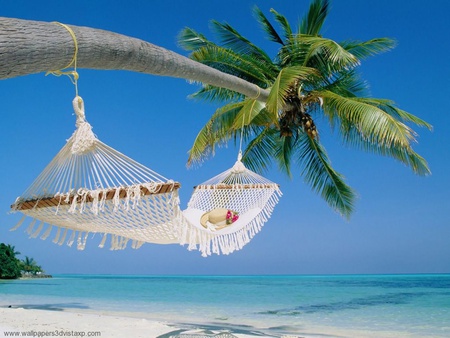 Palm_Beach - beach, hat, hammock, paradise, photography, blue sky, cool, tropic, playa, sand, relax, ocean, palm tree, nap, summer, tropical, sommer, palm, nature, sleep, palm-beach, blue, beautiful, arena, island, palmera, mar