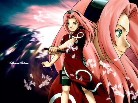 sakura haruno - women, naruto, girl, sakura, female, anime, pink hair, anime girl