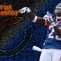 Devin Hester Pro Bowl