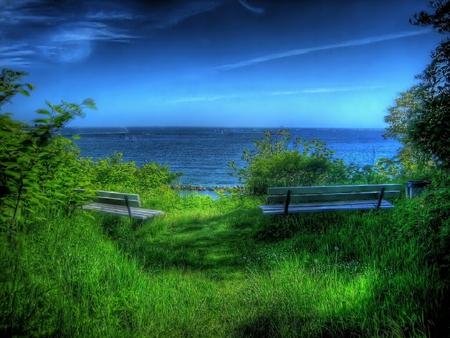 A Blue View - green, view, blue