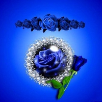 BLUE ROSE