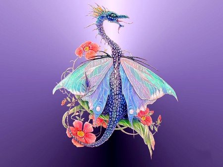 BUTTERFLY DRAGON - butterfly, colorful, dragon, wings