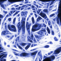 Blue Fractal Snow Leopard