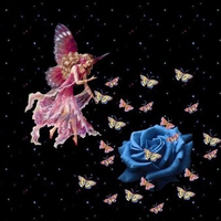 PINK FAIRY AND BLUE ROSE