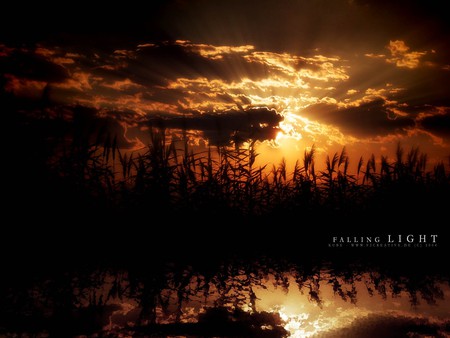 Falling Light - water, beautiful, grass, sun rays, lake, clouds, golden, foilage, sunset