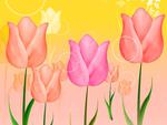 colorful tulips 1600x1200. jpg