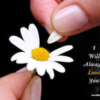 Always love you