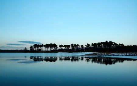 Fantastic Scene - fantastic, scenery, blue, beautiful, scene, scenic, forest, nature, lake, finest