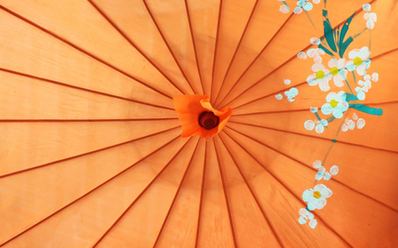 Japanese umbrella - painted flowers, traditional, orange, japanese, umbrella