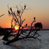 Sunset over Chobe