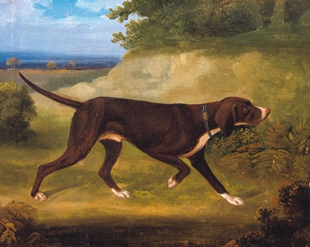 Edward Gill. 'An English pointer'. - dog, victorian, classic art, english art