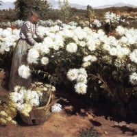 Fanne Duval. 1891. 'Chrysanthemum garden in California'.