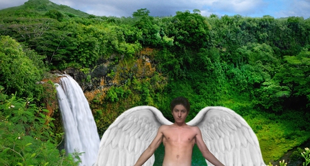 cascada y yo - angel, nature, alas, cascada