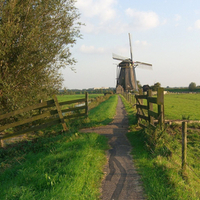 Green farmland in Rotterdam