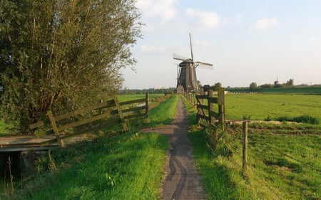 Green farmland in Rotterdam - netherlands, footpath, farm, landscape, green grass, countryside, windmill, rotterdam