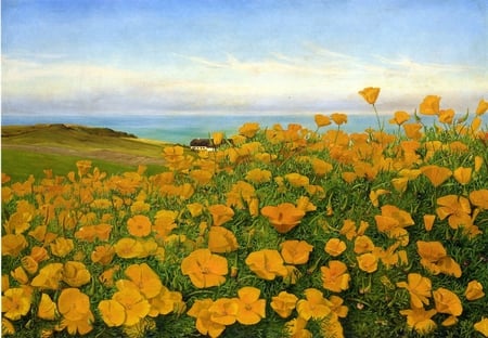 Johanne Nicoline Louise Frimodt. 1902. A field of buttercups by the coast.. - painting, flowers, yellow, buttercups