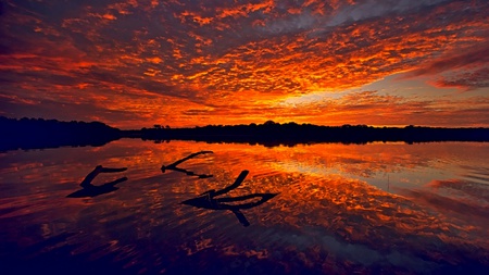 Gold Of Golden - clouds, marvellous, beach, sky