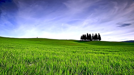 Lovely Green - clouds, blue, beauty, tree, green grass, sky