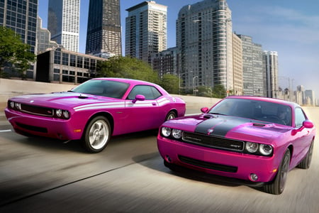 Furious Fuschia Dodge Challenger - challenger, car, dodge, tuning, furious fuschia