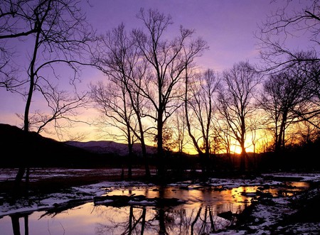 Winter Sunset - reflections, blue, amazing, sunsets, purple, nice, sky, sunrises, trees, winter, beautiful, photography, photoshop, gold, cool, black, white, awesome, reflectedanother