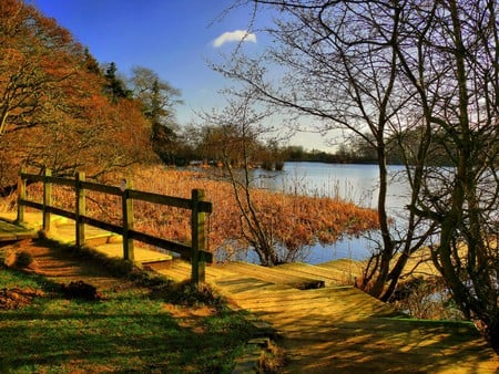 Walking the Boards - rivers, walking, amazing, grass, leaves, red, seasons, nice, sky, trees, winter, beautiful, cool, awesome, autumn, boards, leaf, lakes