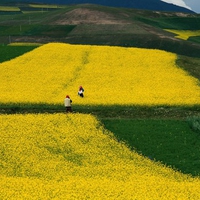 amazing landscape in china 0959