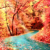 Autumn Road