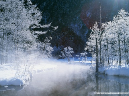 Winter - winter, nature