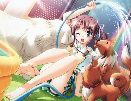 Dog bath - girl, puppy, female, water, anime girl, dog, anime, animal, cute